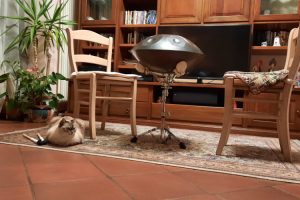 potere del silenzio handpan